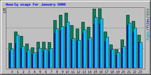 Hourly usage for January 2008